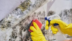 A person wearing yellow gloves cleans mold from a wall during a mold remediation process.