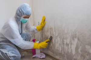 Emergency Water Removal and Drying Services in Carlsbad CA 
