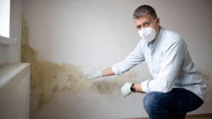 A professional performing emergency water removal and drying services in Carlsbad CA to prevent mold growth on a damaged wall.