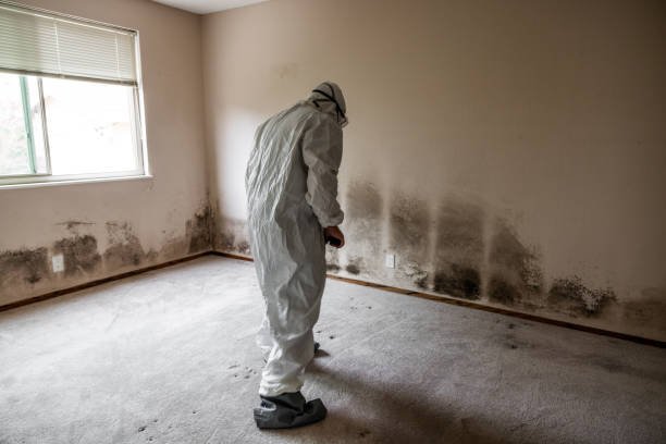 Stock photo of mold and mildew damage from a leaking roof.