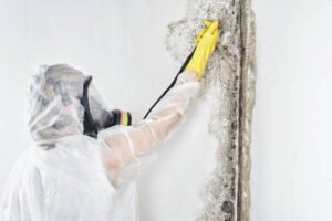 A person in a white suit and yellow gloves sprays mold treatment on a wall, performing professional mold restoration in San Diego, CA.