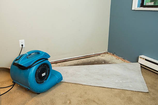 A blue mop rests on a wet floor beside a carpet, representing water damage restoration in San Diego, CA after indoor flooding.