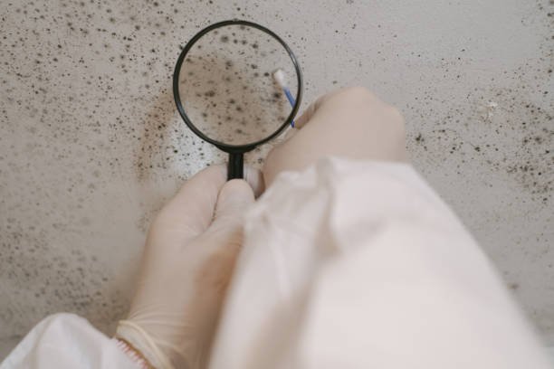 A man wearing a protective suit applies mold spray to a wall as part of mold inspection and remediation efforts.
