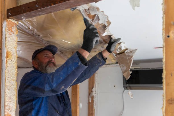 A devastated room with a door and a window, displaying signs of severe fire damage and destruction—an urgent case for expert Fire Damage Restoration services.