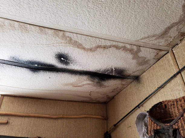 A black-painted ceiling with a ladder positioned underneath, indicating a mold remediation project in progress.