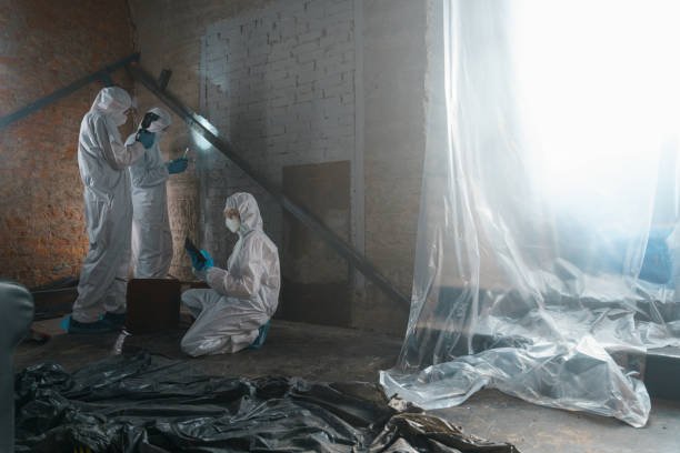 Three professionals in protective suits assess and repair water damage in a room.
