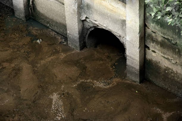A sewer pipe covered in mud, indicating a sewage backup situation.