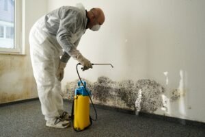 water damage restoration A man in a white hazmat suit and face mask uses a yellow pressure sprayer for water damage restoration, treating a large patch of black mold on a white wall.