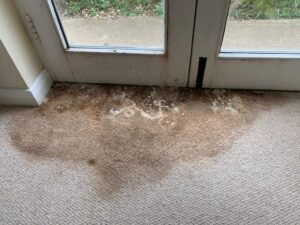 A dirty carpet with visible water damage, indicating the need for restoration services.