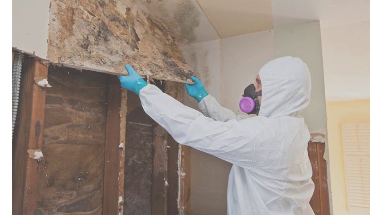 Certified experts performing mold restoration in water damaged residential area