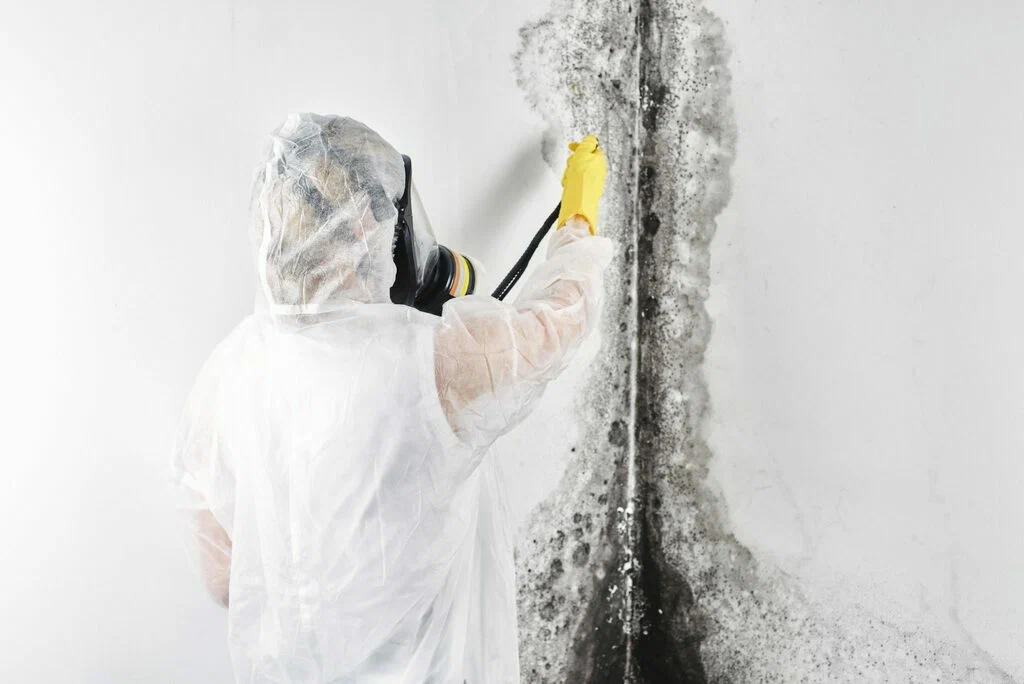 Indoor air testing during Professional Mold Restoration Services