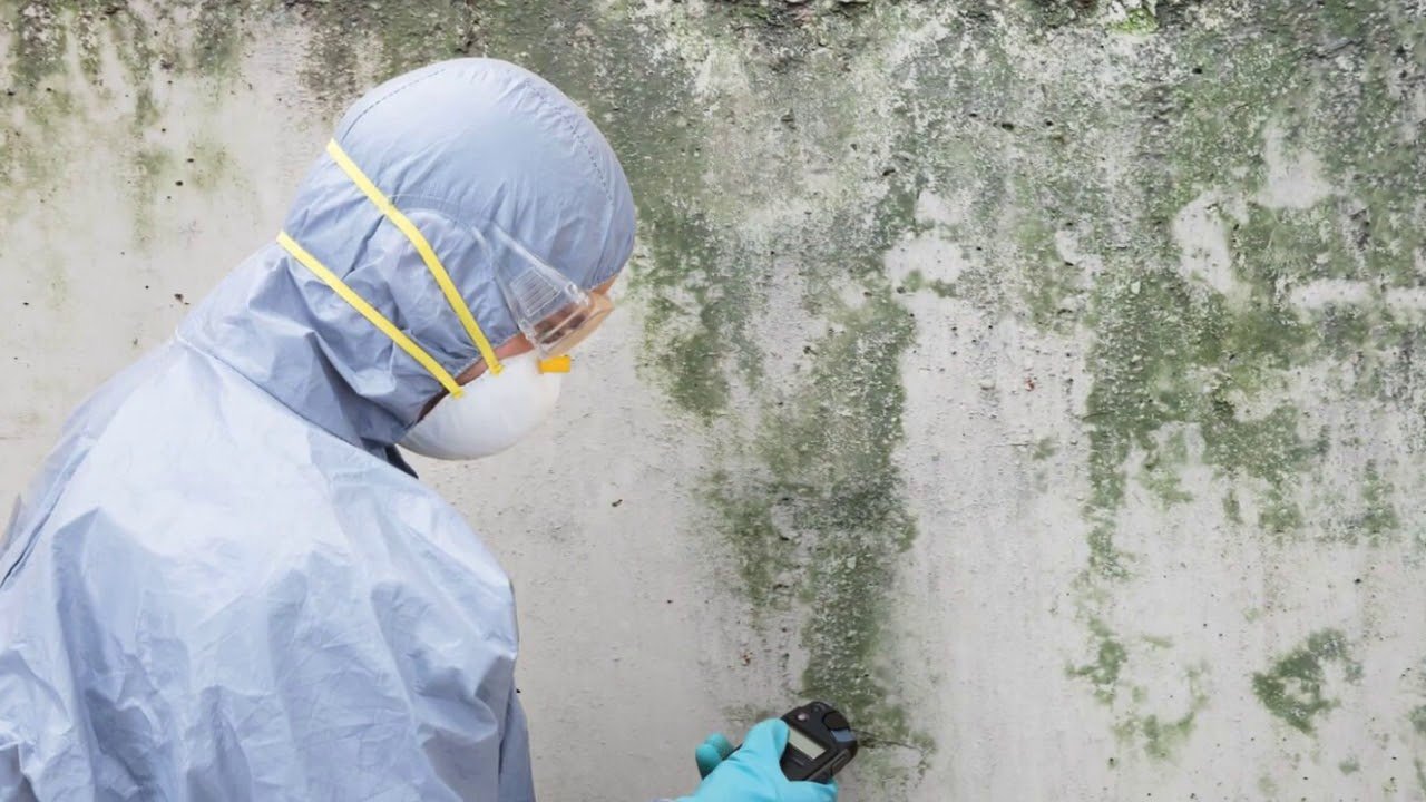 Home affected by mold requiring Professional Mold Restoration Services