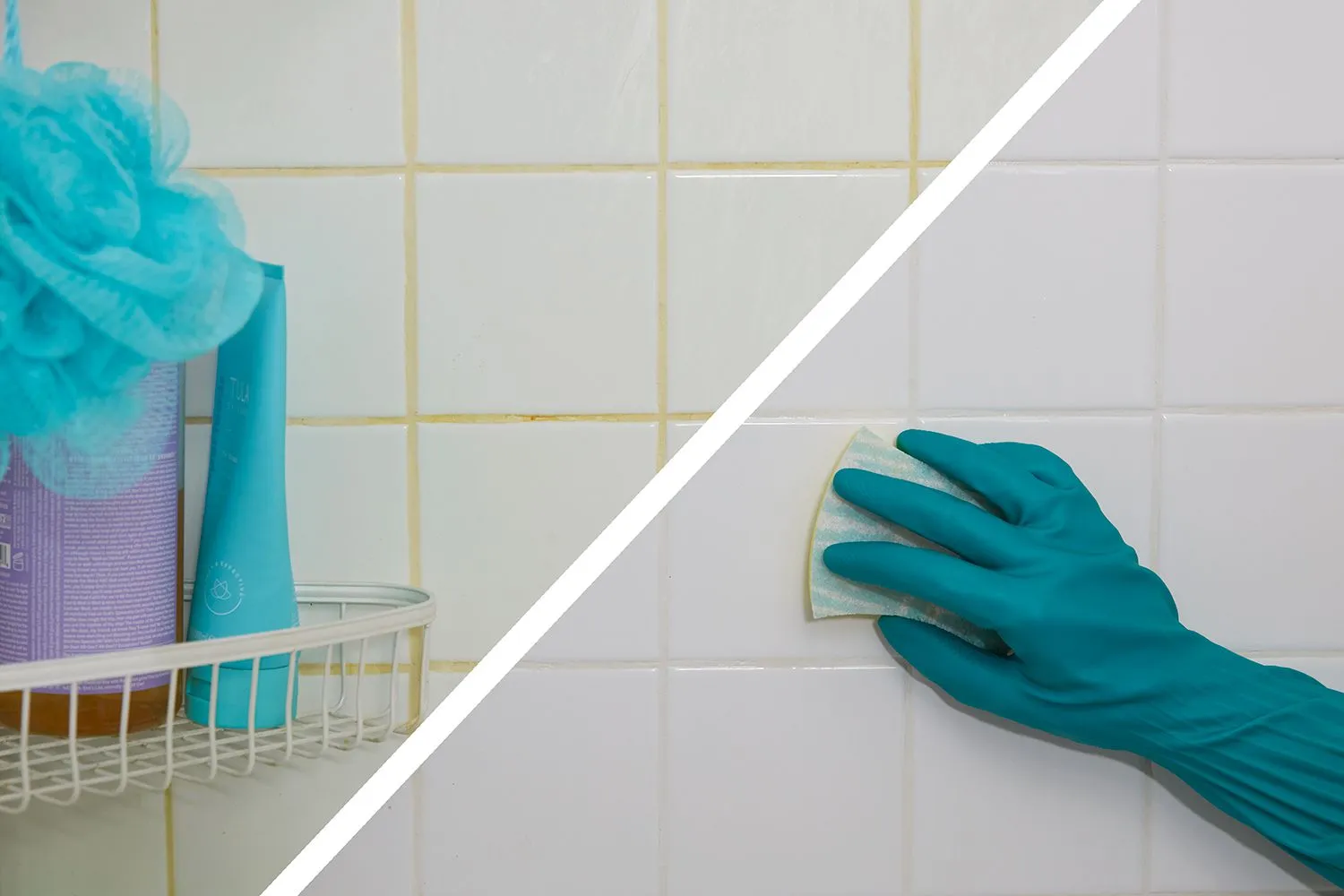 Mold Cleaning Bathroom